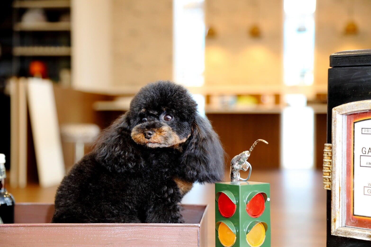 看板犬Bettyがお出迎え