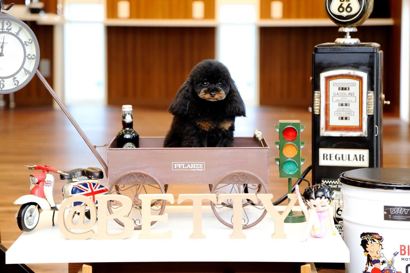 看板犬Betty - アメリカンレトロなディスプレイ