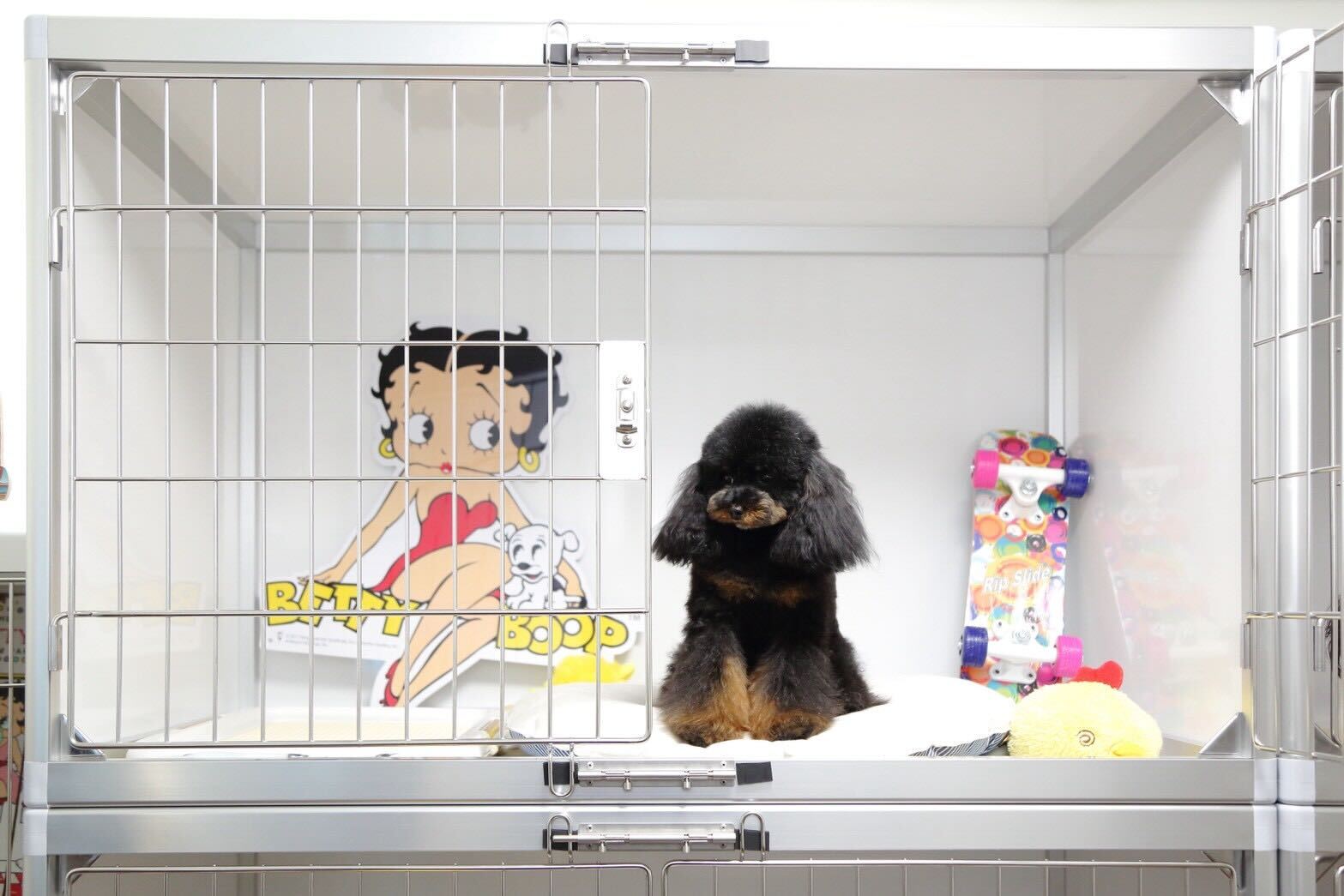 ペットホテル個室