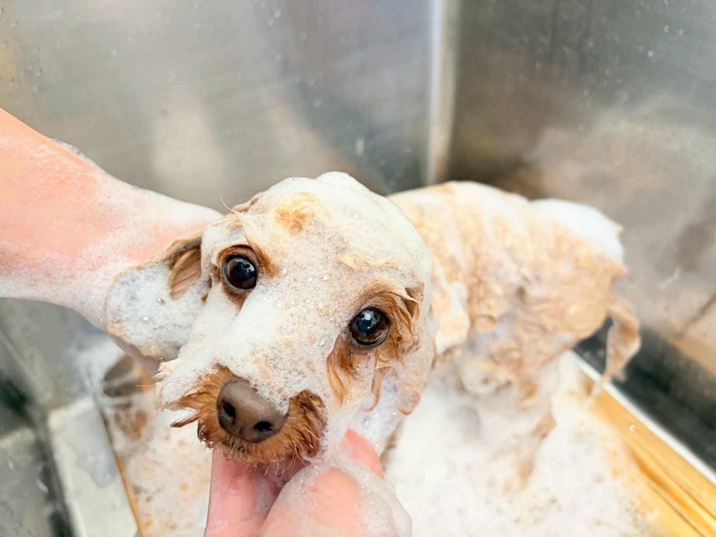 リラックスしてシャンプー