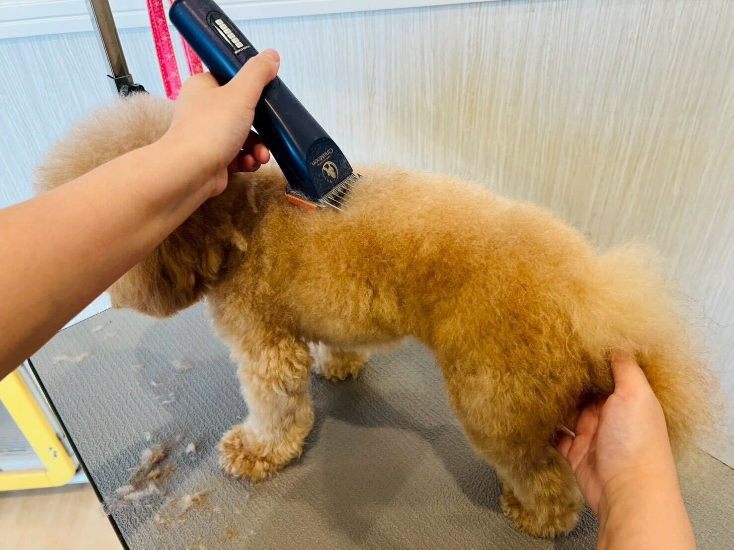 バリカン仕上げ