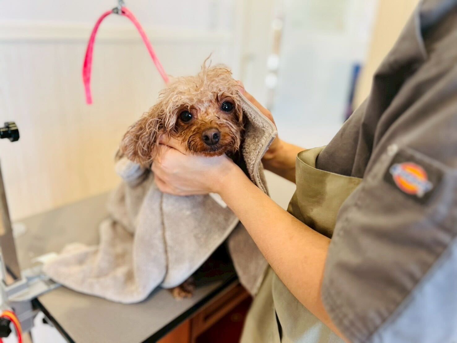 シャンプー後のタオルドライ